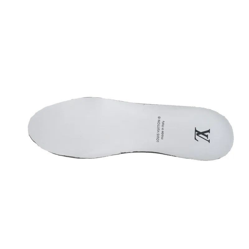 Louis Vuitton Trainer Blue