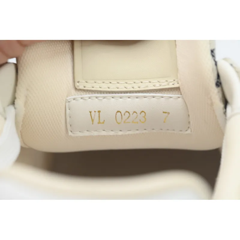 Louis Vuitton Trainer Brown