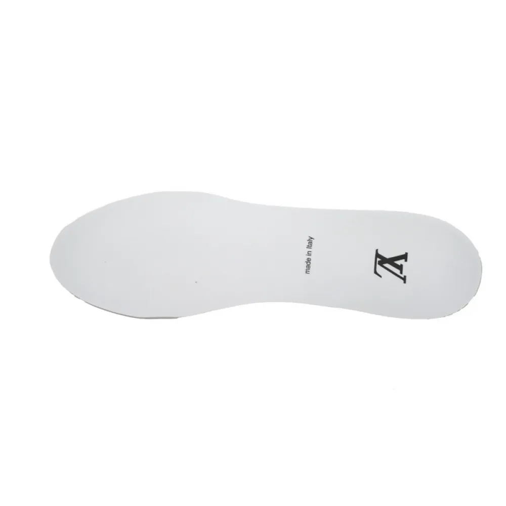 Louis Vuitton Trainer Monogram