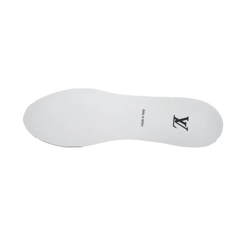 Louis Vuitton Trainer Monogram
