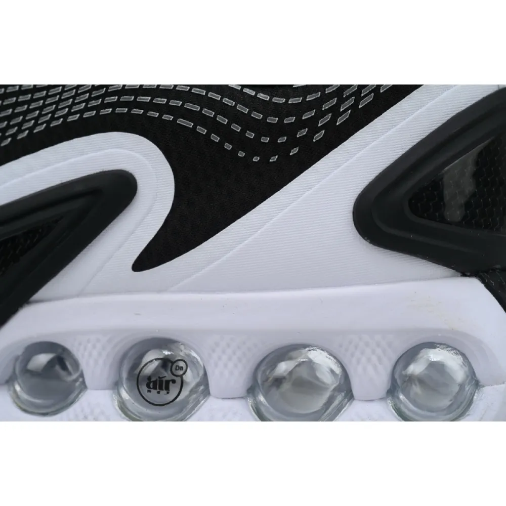 Air Max DN 'Black and White'