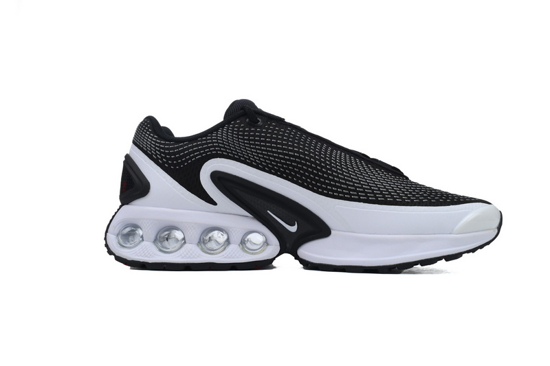 Air Max DN 'Black and White'