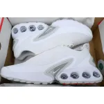 Air Max DN 'White Metallic Silver'