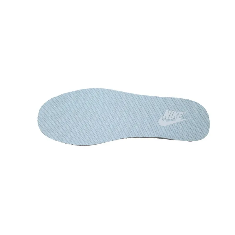 Nike Dunk Low The Language of Glaciers