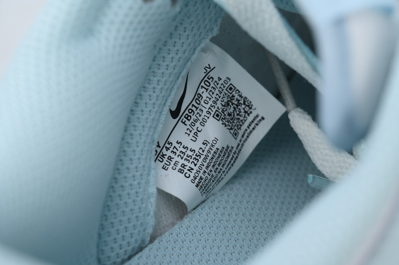 Nike Dunk Low The Language of Glaciers