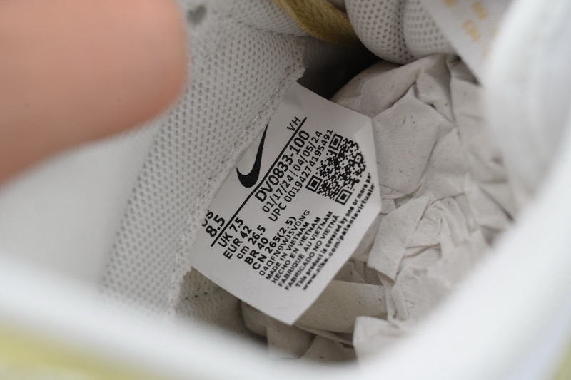 Nike Dunk Low DV0833-100