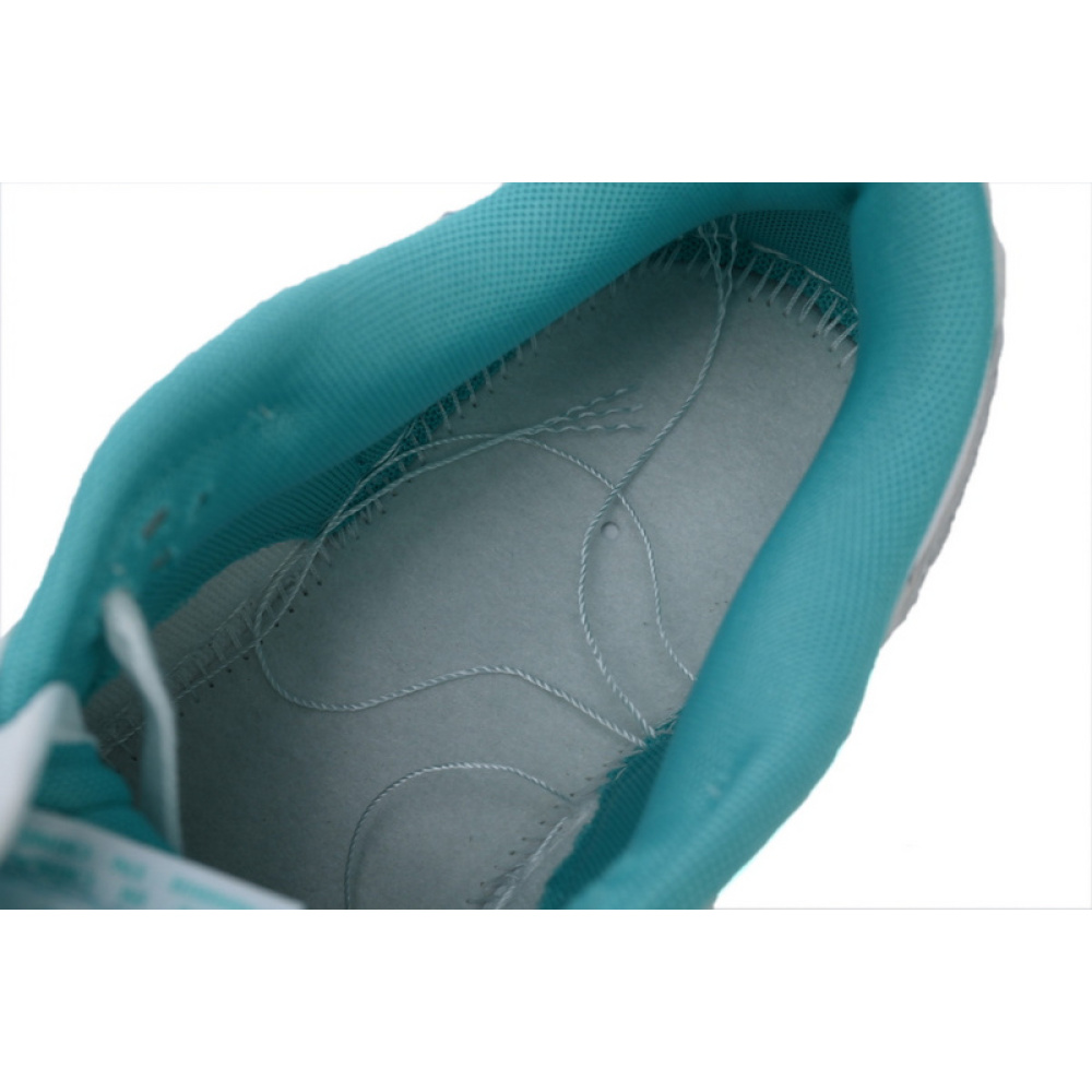 Nike Dunk Low DV0833-102