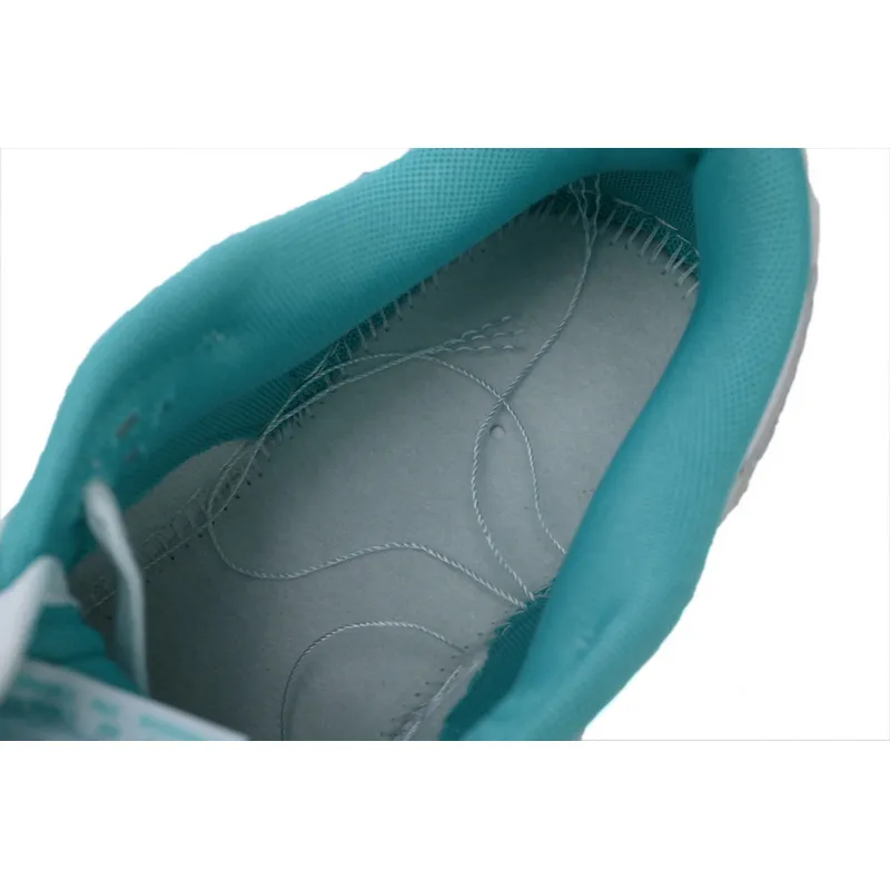 Nike Dunk Low DV0833-102