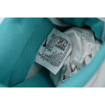 Nike Dunk Low DV0833-102