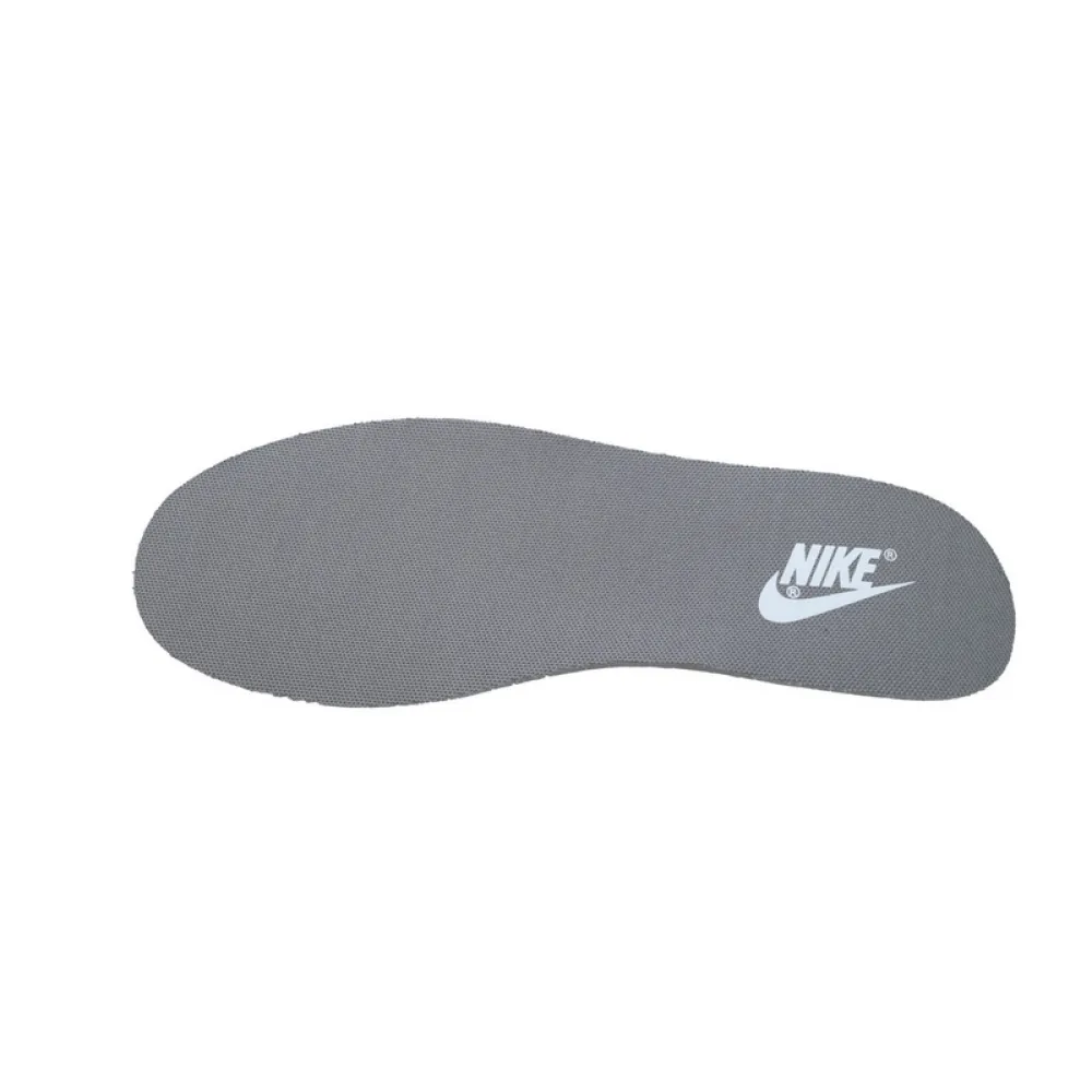 Nike Dunk Low WK0820-001