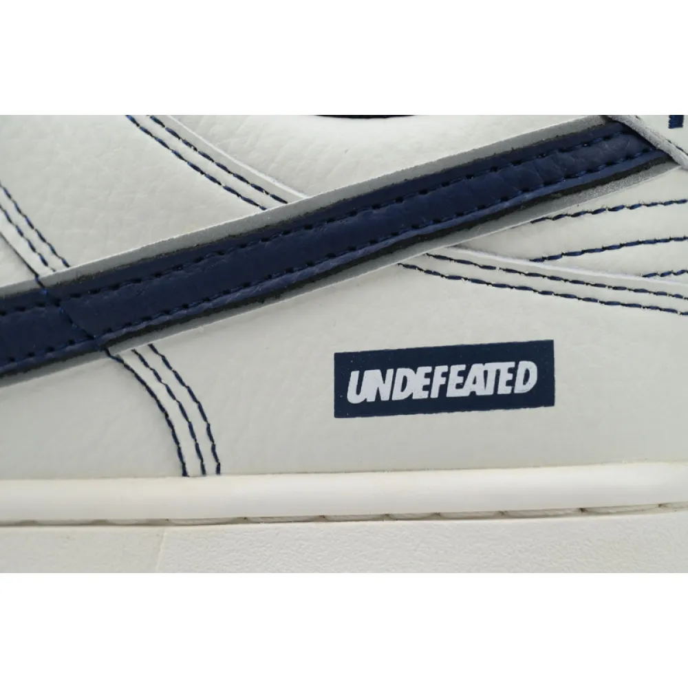 DIY Nike Dunk Low FC1688-138