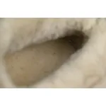UGG Khaki 002