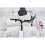  Canada Goose white