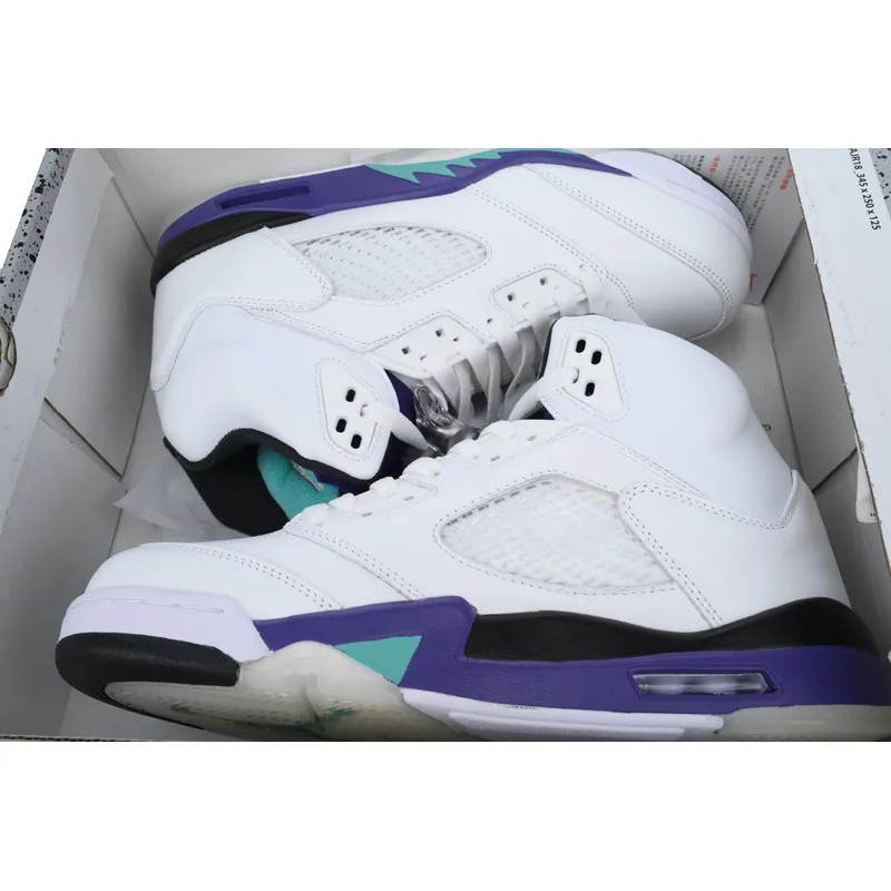 DJ DJ Air Jordan 5 Retro Grape
