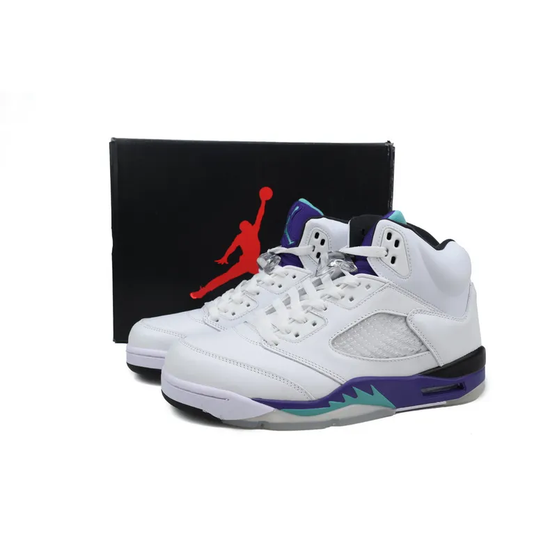 DJ DJ Air Jordan 5 Retro Grape