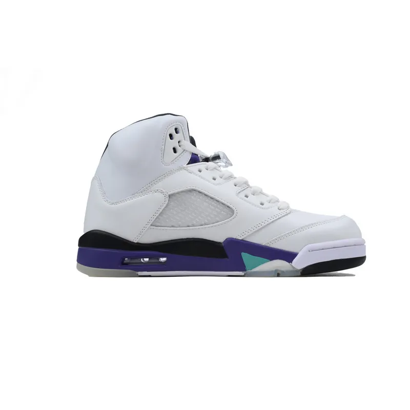 DJ DJ Air Jordan 5 Retro Grape