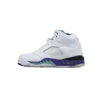 DJ DJ Air Jordan 5 Retro Grape