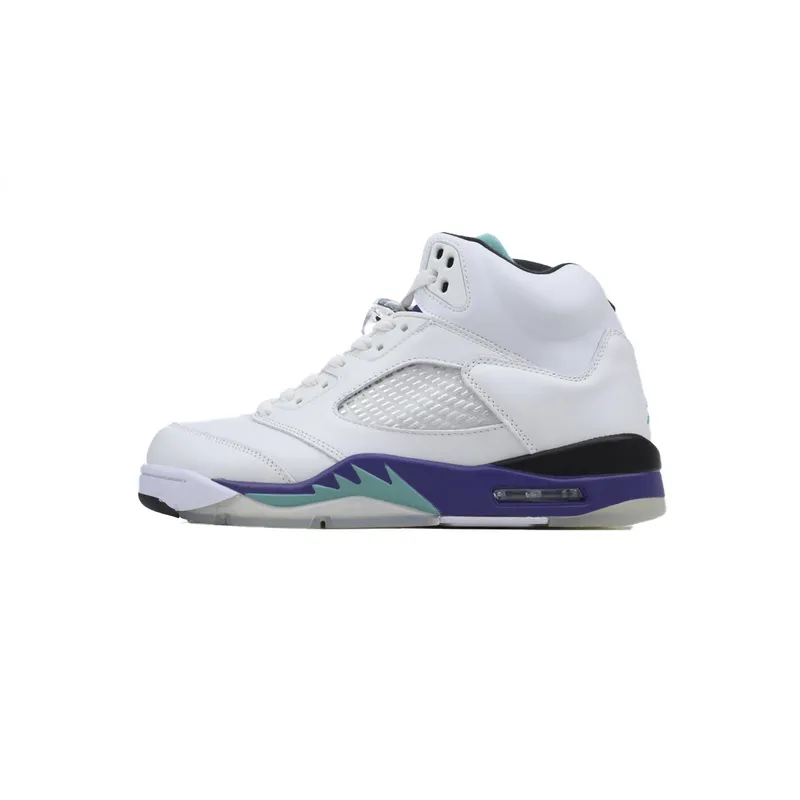 DJ DJ Air Jordan 5 Retro Grape