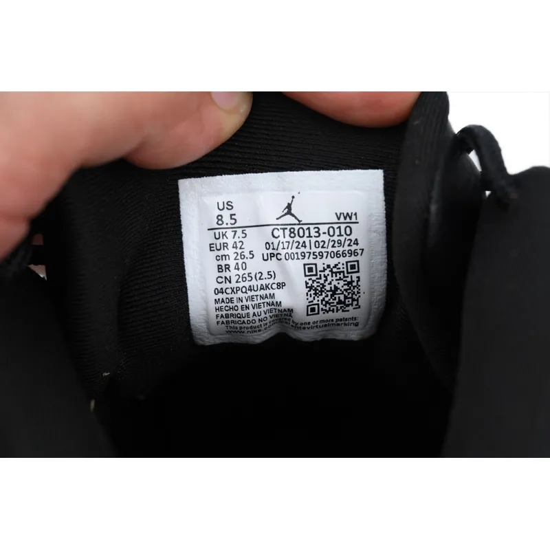 DJ Air Jordan 12 Retro 'Black and wolf Grey'