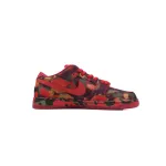 OG The Wizard of Oz x Dunk Low SB Poppy Field