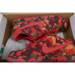 OG The Wizard of Oz x Dunk Low SB Poppy Field