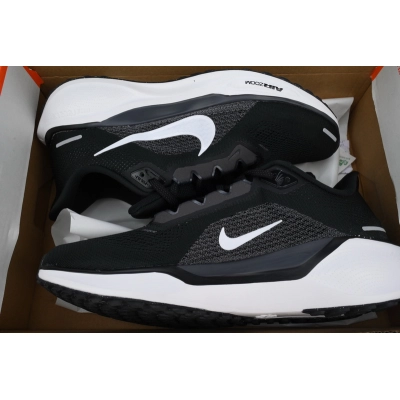 Air Zoom Pegasus 41 'Black White' 02