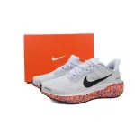 Air Zoom Pegasus 41 'Electric Pack'