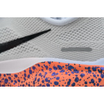 Air Zoom Pegasus 41 'Electric Pack'