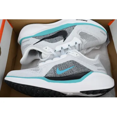 Air Zoom Pegasus 41 'White Dusty Cactus' 02