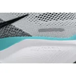 Air Zoom Pegasus 41 'White Dusty Cactus'