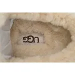 UGG Khaki 1155888