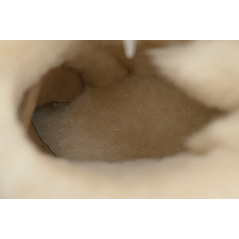 UGG Khaki 1016501