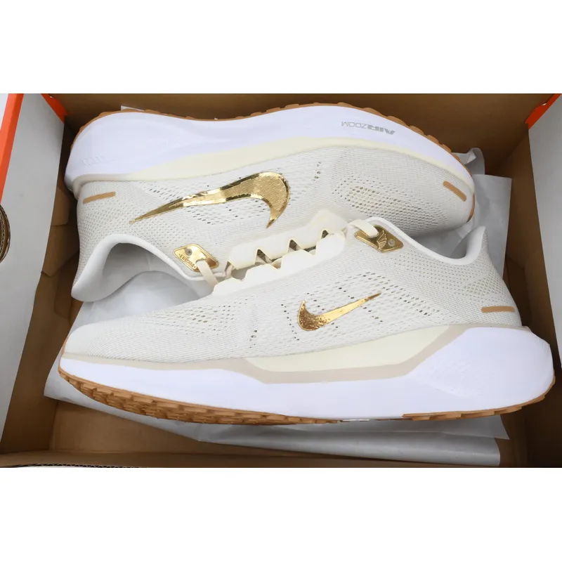 Air Zoom Pegasus 41 'Light Pumice Metallic Gold'