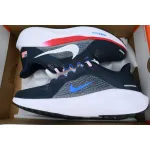 Air Zoom Pegasus 41 "Team USA"