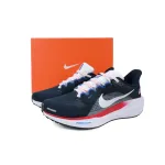 Air Zoom Pegasus 41 "Team USA"