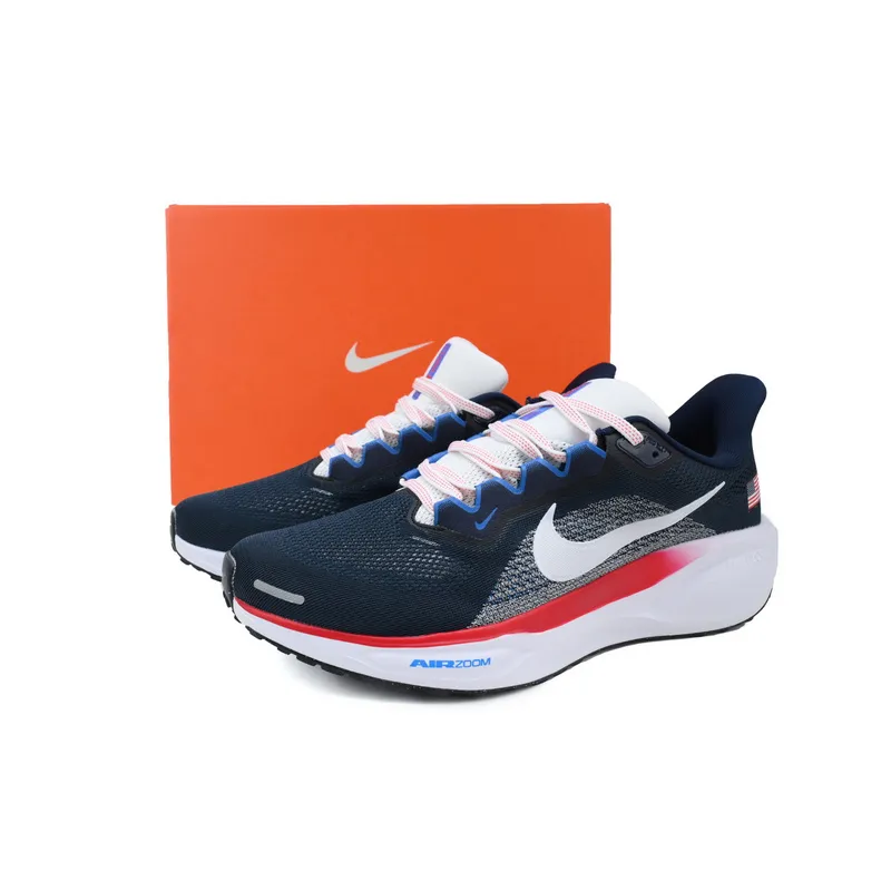 Air Zoom Pegasus 41 "Team USA"