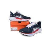 Air Zoom Pegasus 41 "Team USA"