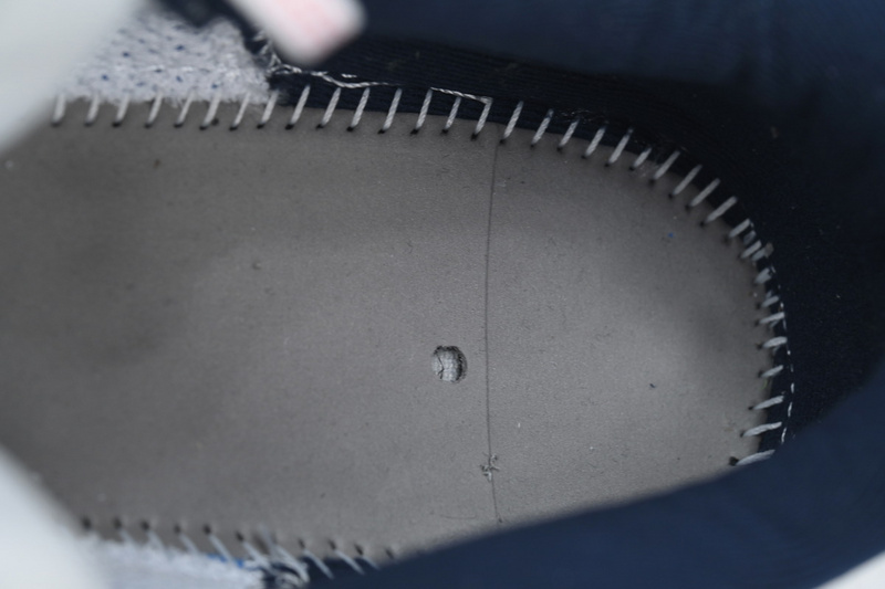 Air Zoom Pegasus 41 "Team USA"