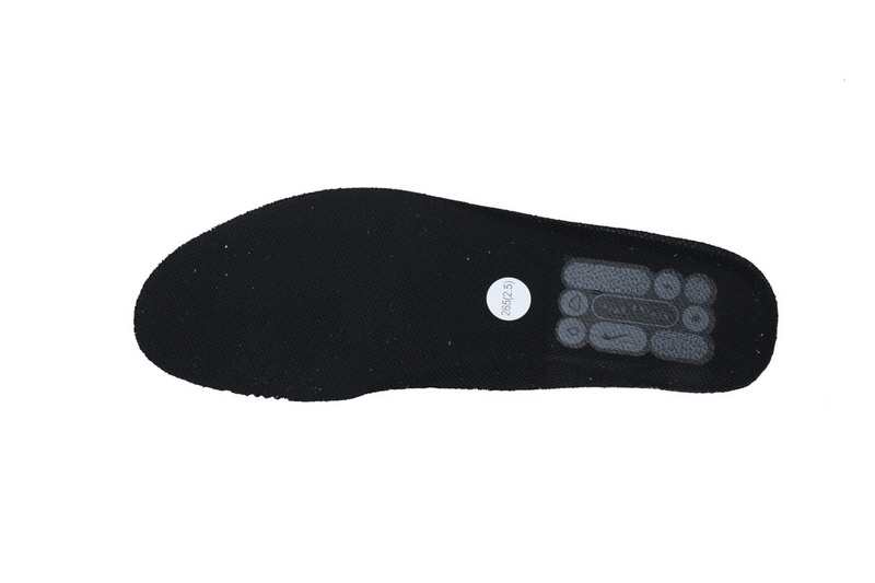 Air Zoom Pegasus 41 "Team USA"