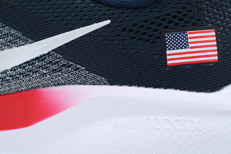 Air Zoom Pegasus 41 "Team USA"