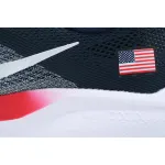 Air Zoom Pegasus 41 "Team USA"