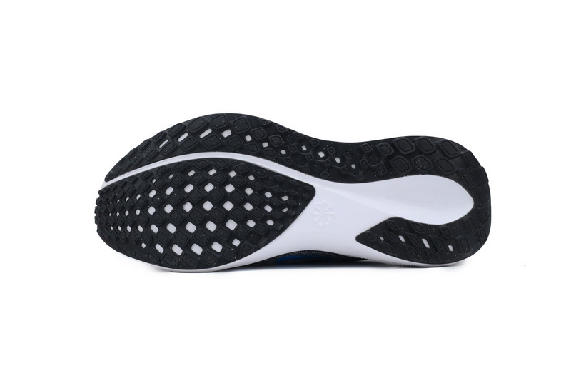 Air Zoom Pegasus 41 "Team USA"