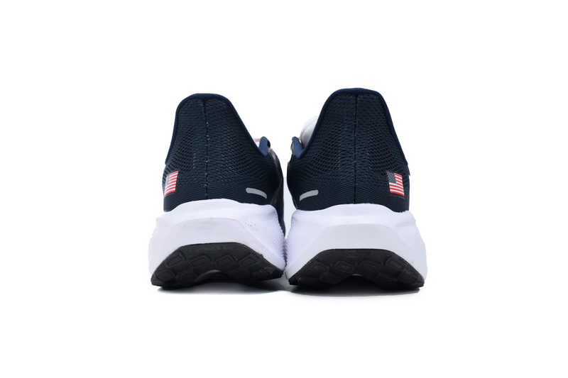 Air Zoom Pegasus 41 "Team USA"