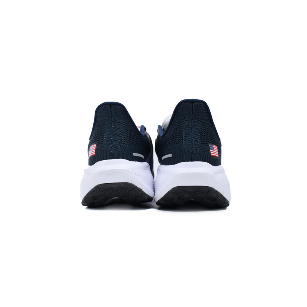 Air Zoom Pegasus 41 "Team USA"