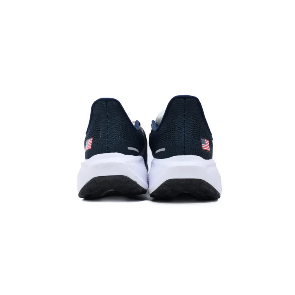 Air Zoom Pegasus 41 "Team USA"