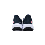 Air Zoom Pegasus 41 "Team USA"