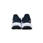 Air Zoom Pegasus 41 "Team USA"