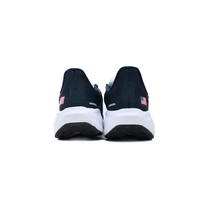 Air Zoom Pegasus 41 "Team USA"