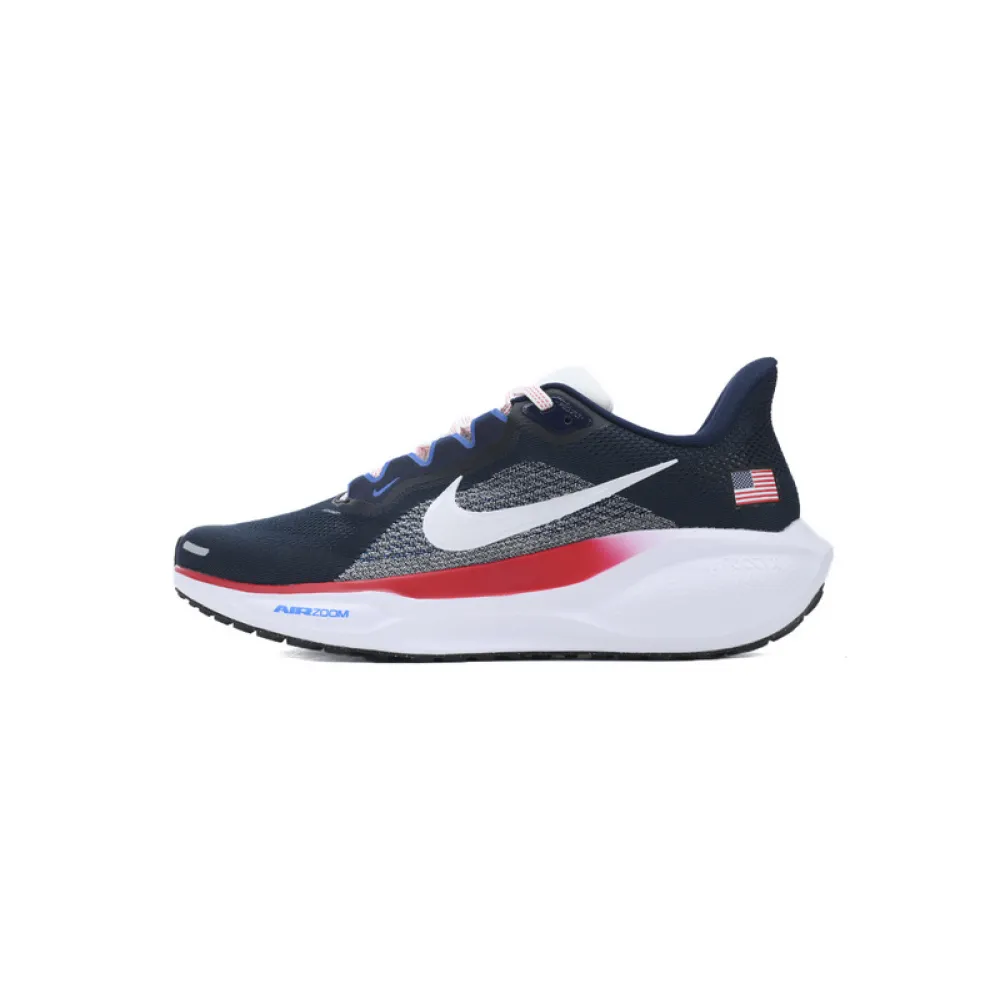 Air Zoom Pegasus 41 "Team USA"