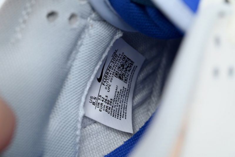 Nike Dunk Low Pioneer Knight 